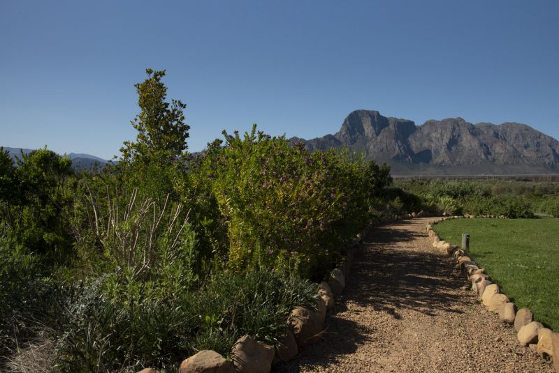 SUNDAY BRUNCH AT BOSCHENDAL