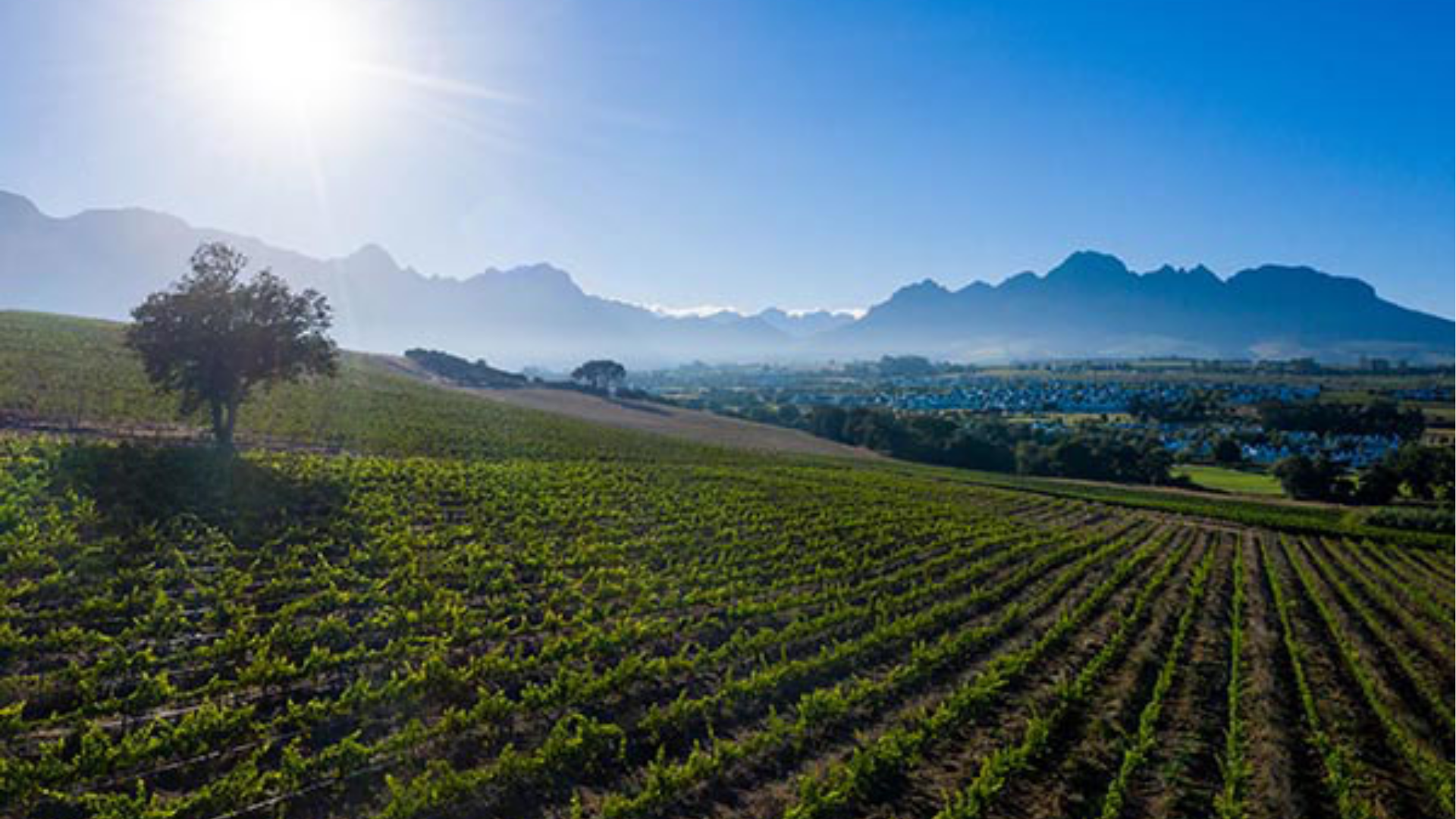 Kleine Zalze