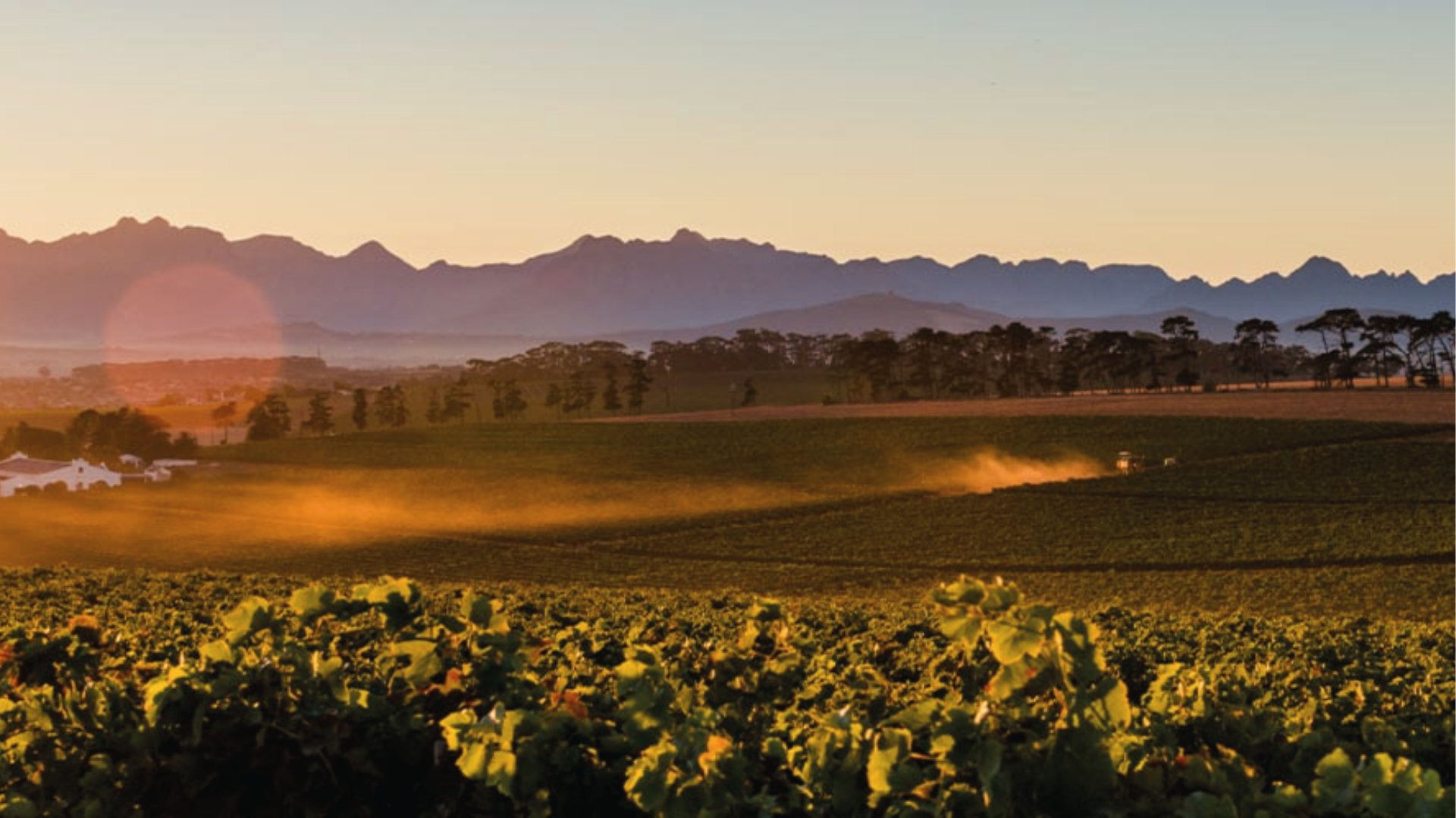 Delaire Graff Estate