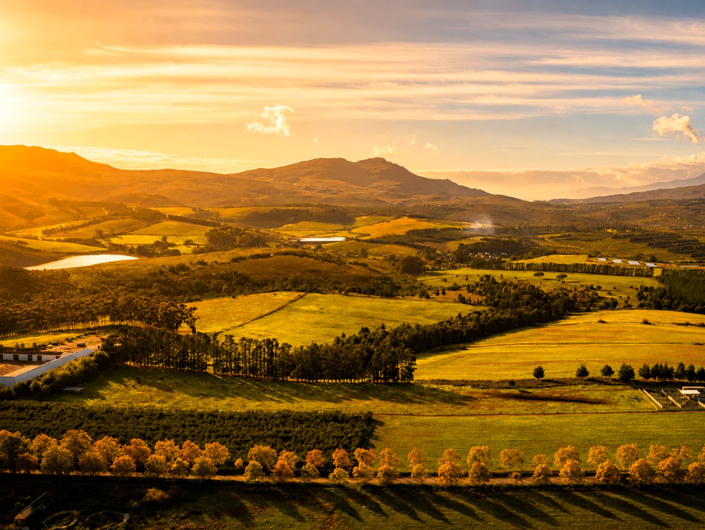 Elgin Wine Route