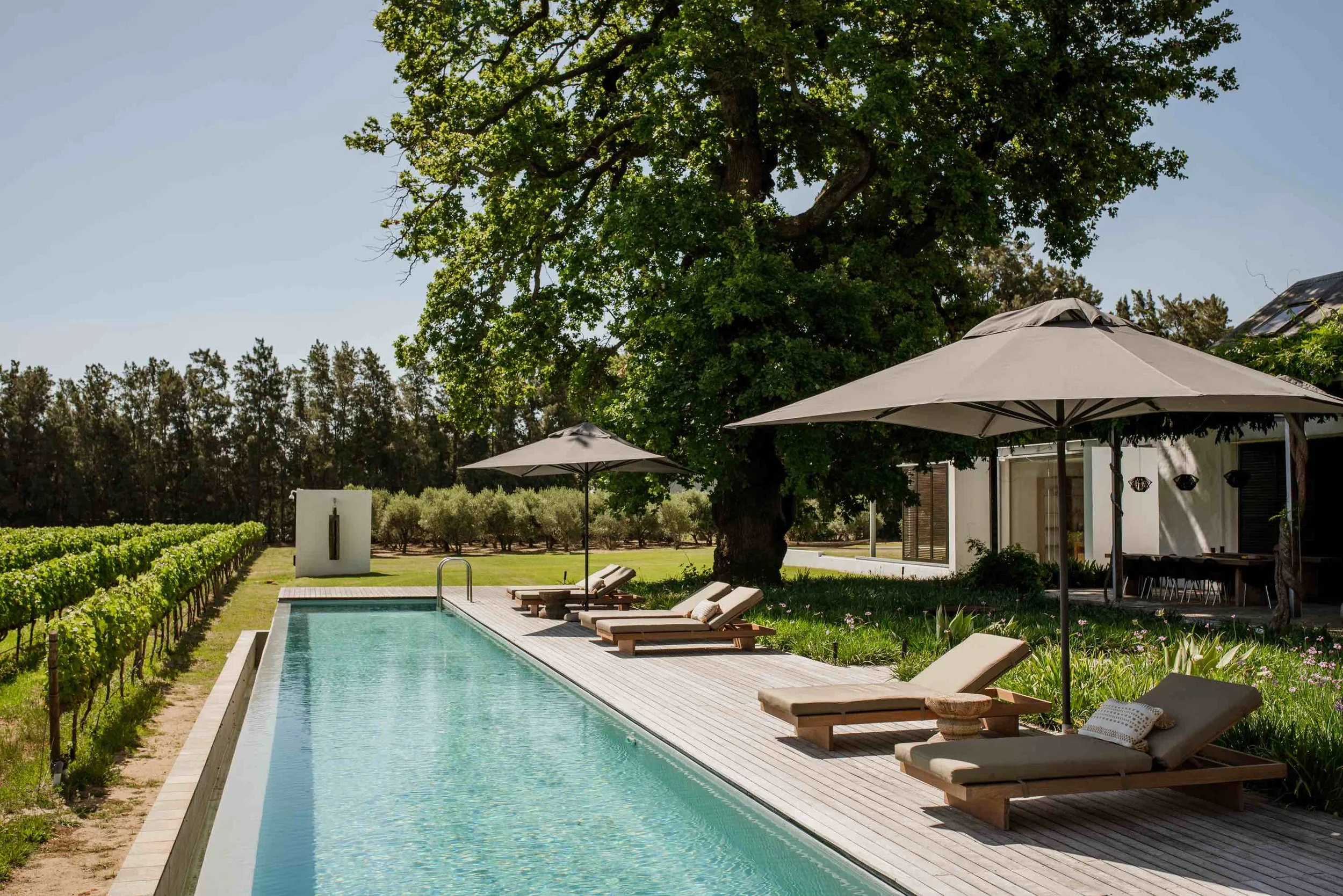 Maison Wine Estate