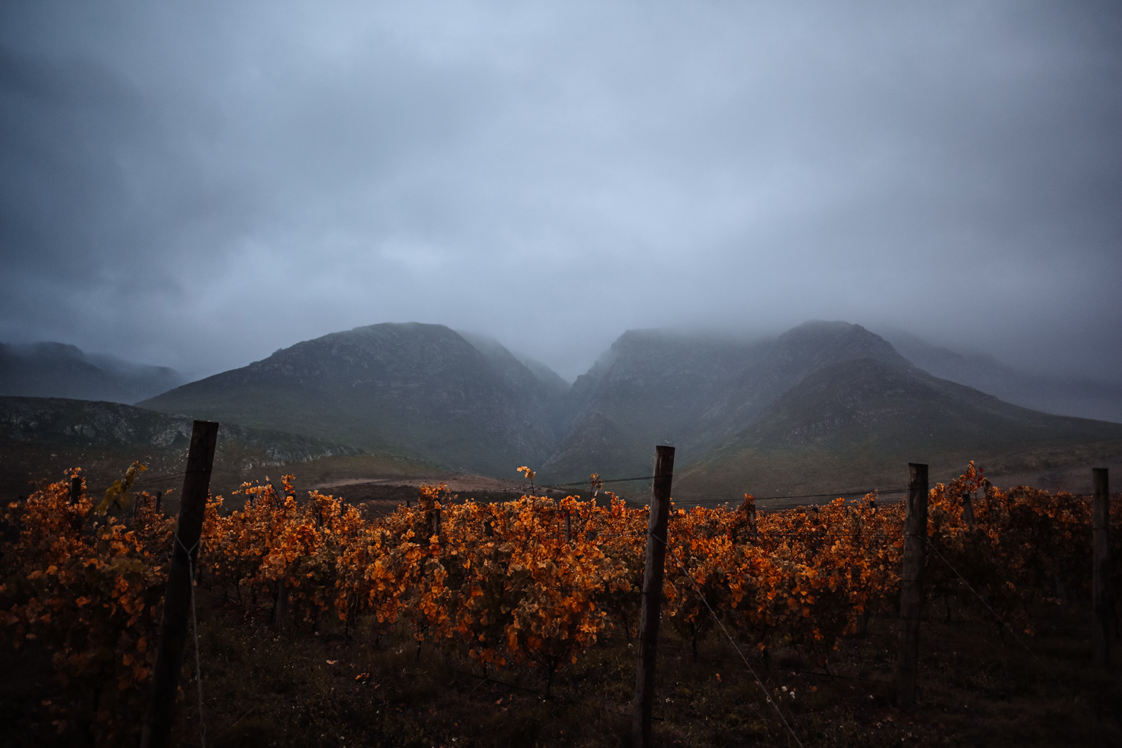 Oak Valley Wine Estate