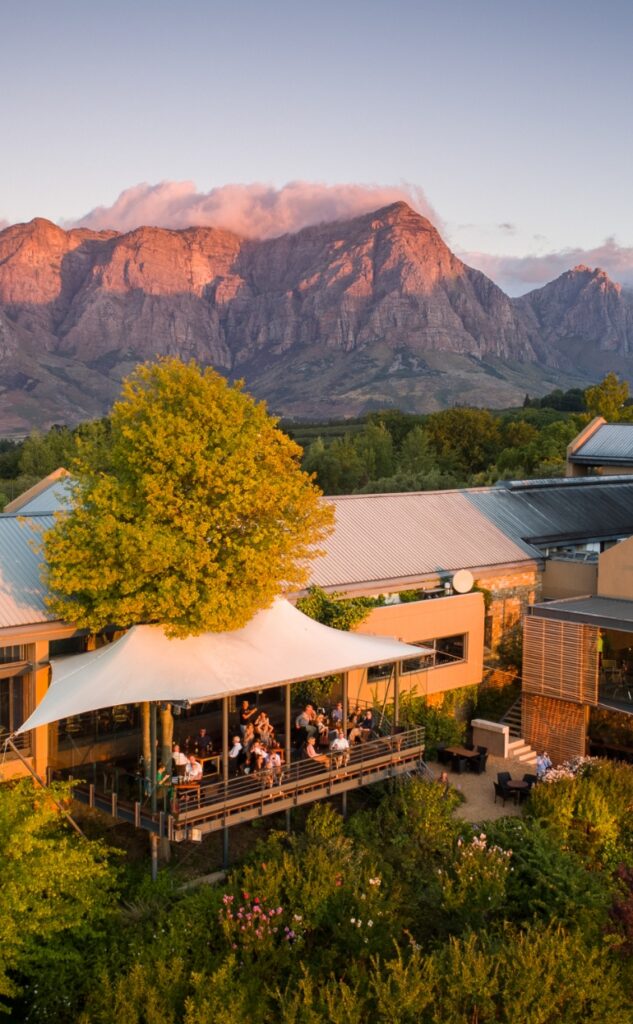 Steenberg Vineyards Cape Point