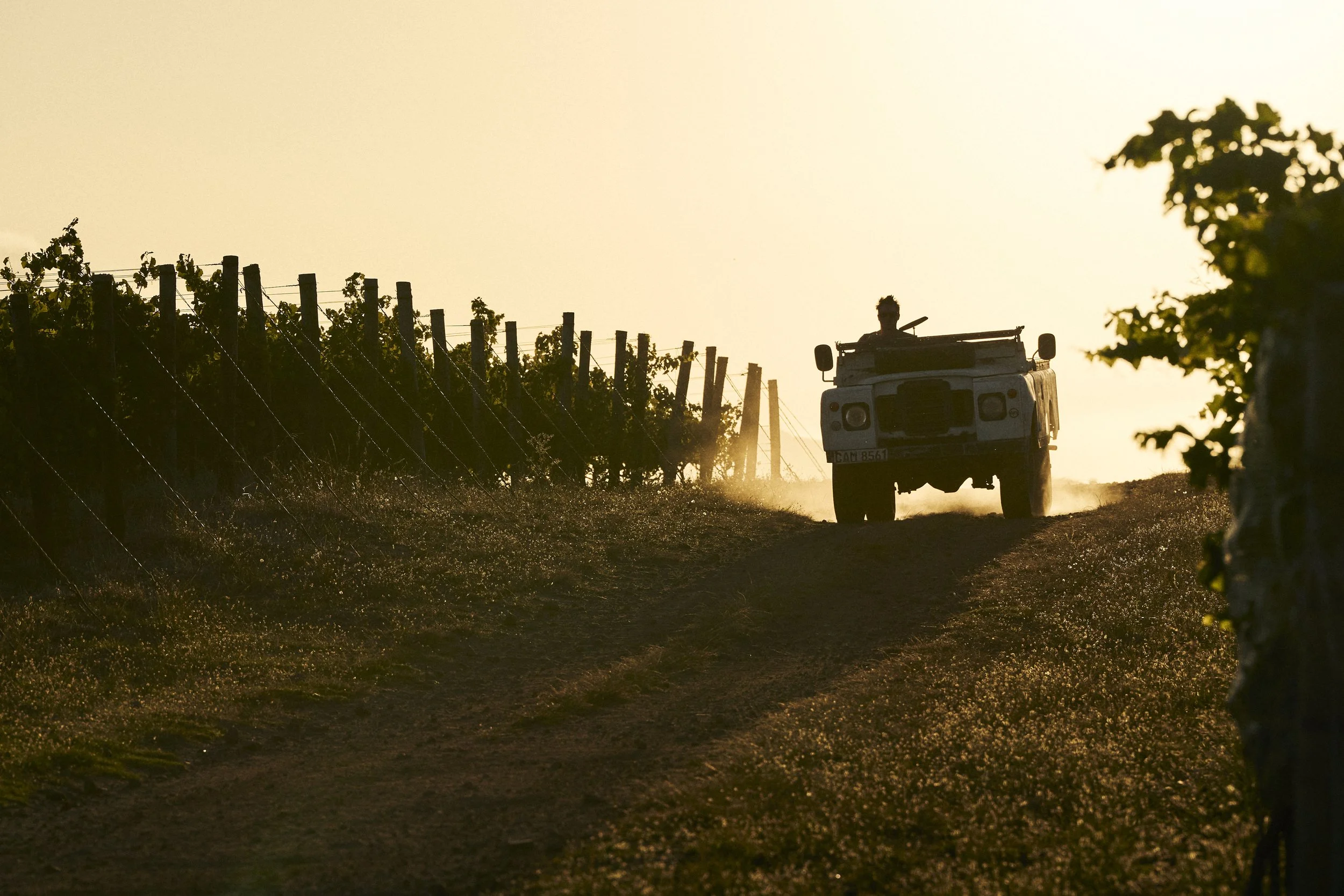 Restless River Wines