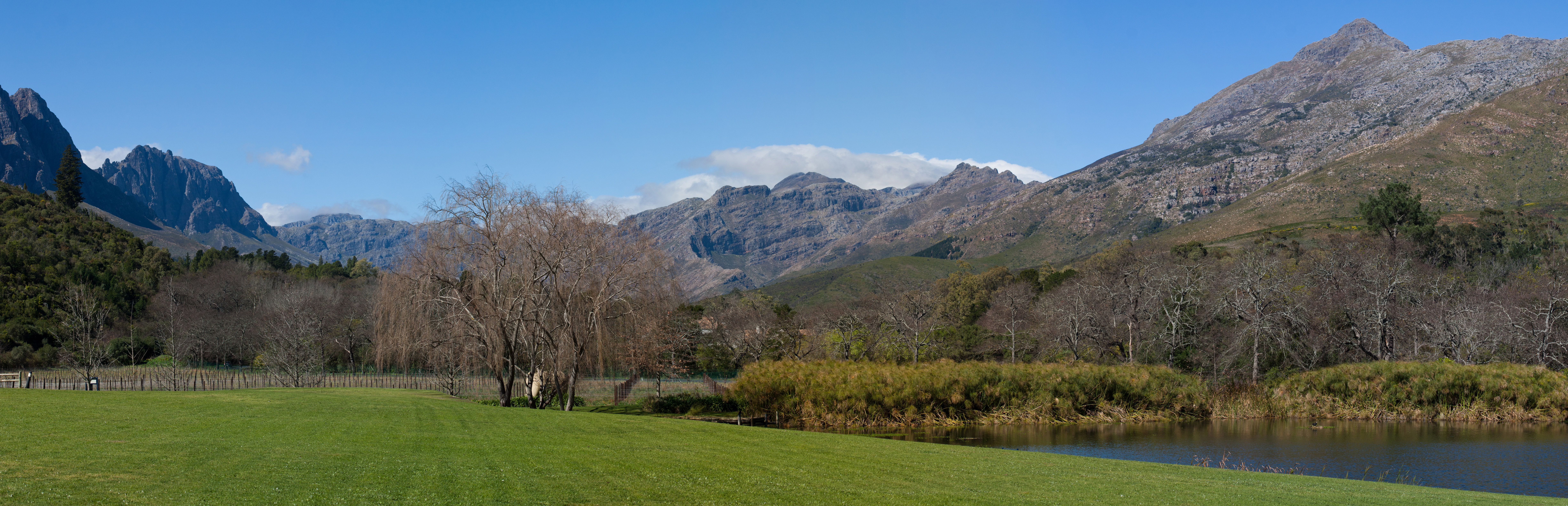 Stark-Condé Wines