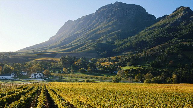 Tuk Tuk Franschhoek  1